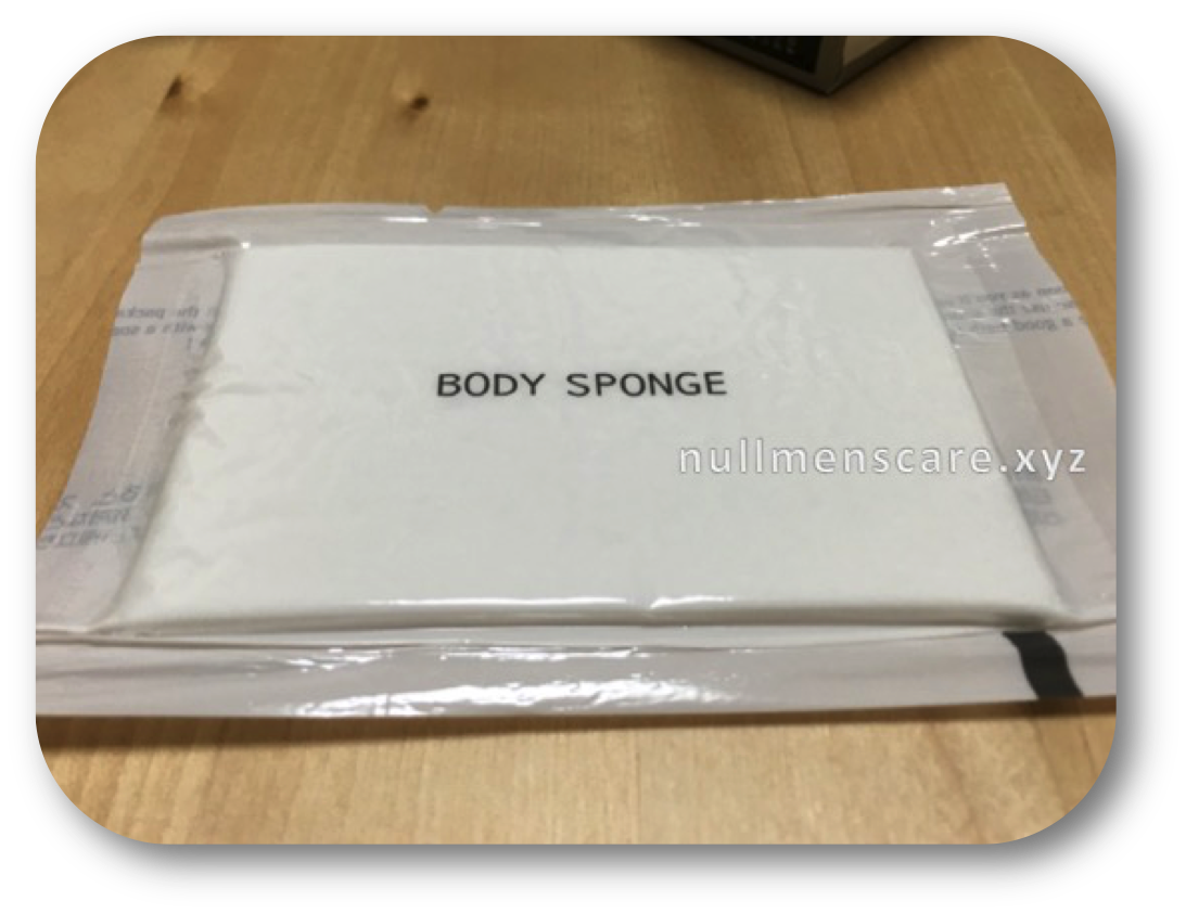 付属のスポンジ開封前